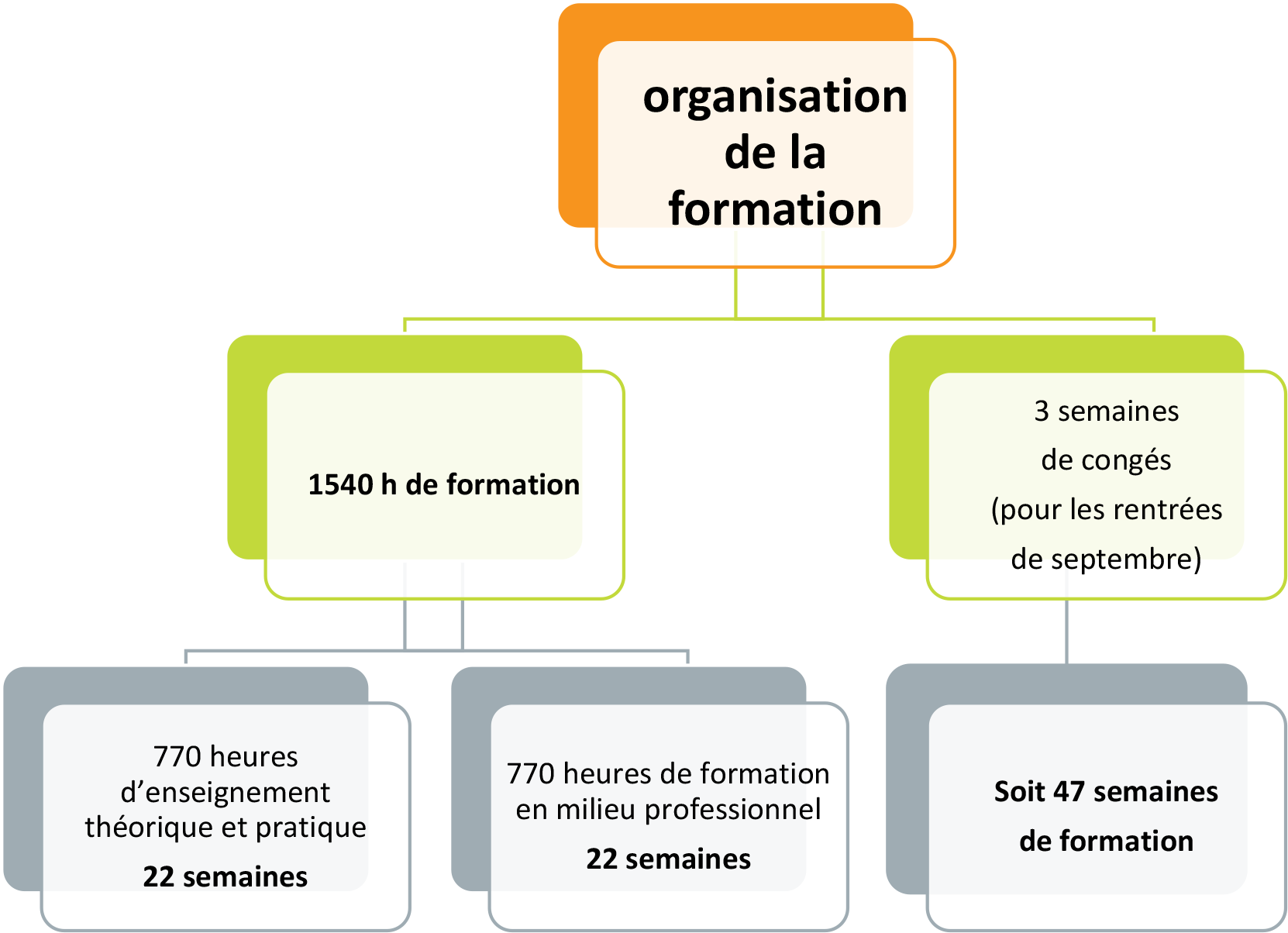 anatomie - Formation Aide Soignante 2021-2022